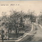 MILFORD NH NASHUA STREET ANTIQUE POSTCARD