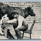 COW MILKING CAT FEEDING ANTIQUE POSTCARD FROM PRODUCER TO CONSUMER