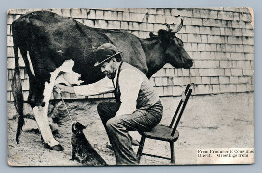 COW MILKING CAT FEEDING ANTIQUE POSTCARD FROM PRODUCER TO CONSUMER