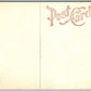 BRIDGETON NJ CEDAR BROOK FALLS ANTIQUE POSTCARD