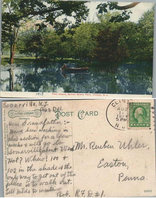 ANTIQUE POSTCARD FERN ISLAND SYLVAN GROVE PARK CLINTON N.J.