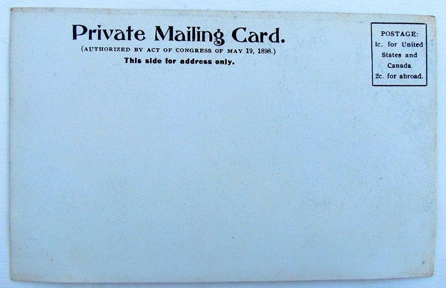 VINTAGE UNDIVIDED POSTCARD W.S.WELLS RESIDENCE LITTLE GENESEE N.Y. PRIVATE MAIL
