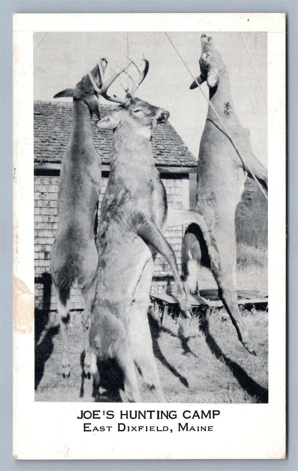 EAST DIXFIELD ME JOE'S HUNTING CAMP VINTAGE POSTCARD