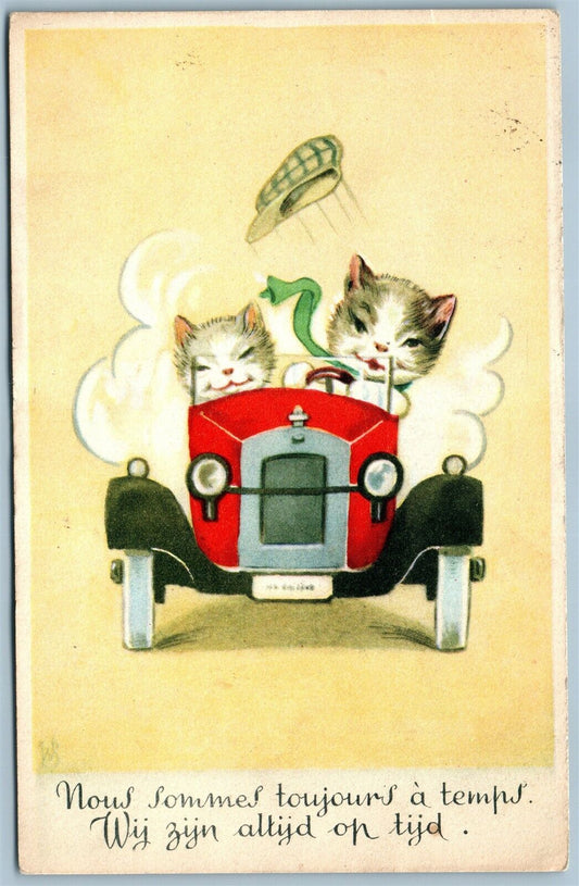 DRESSED CATS DRIVING AUTOMOBILE VINTAGE POSTCARD