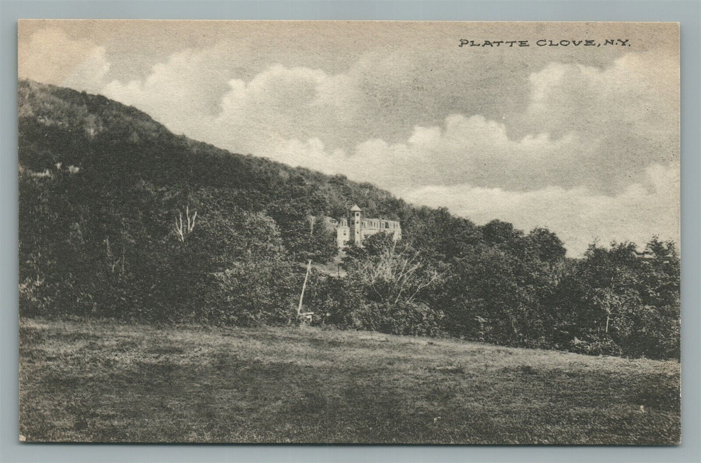 PLATTE CLOVE NY ANTIQUE POSTCARD