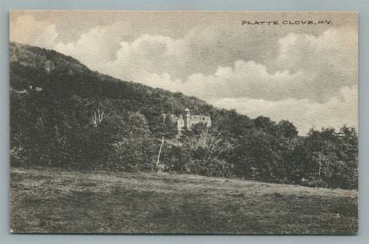 PLATTE CLOVE NY ANTIQUE POSTCARD
