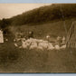 FARM SCENE w/ COWS & BIRDS ANTIQUE REAL PHOTO POSTCARD RPPC