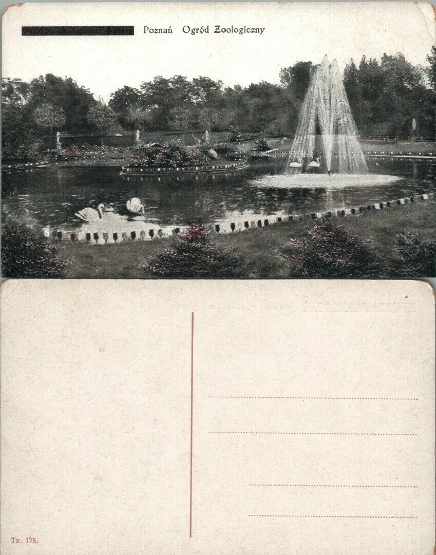 ANTIQUE POLISH POSTCARD OGROD ZOOLOGICZNY POZNAN POLAND