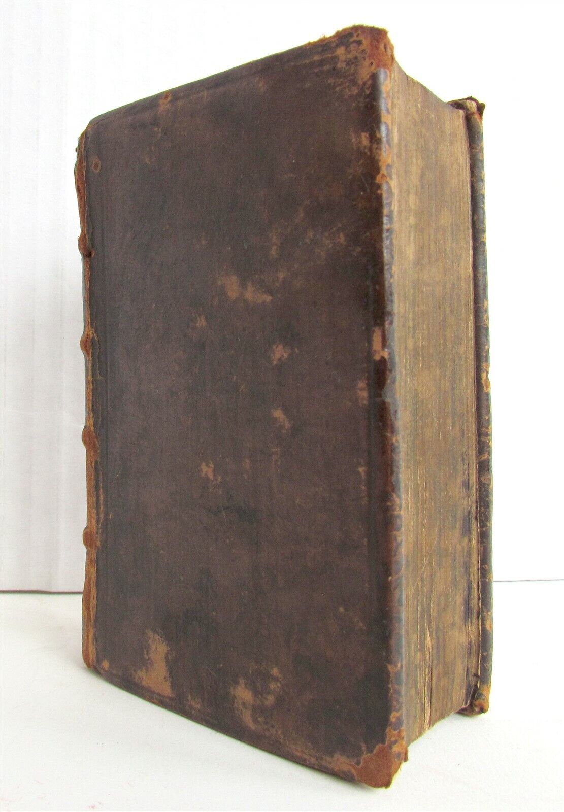 1565 BIBLE FLORES BIBLIA by PLANTIN antique 16th CENTURY