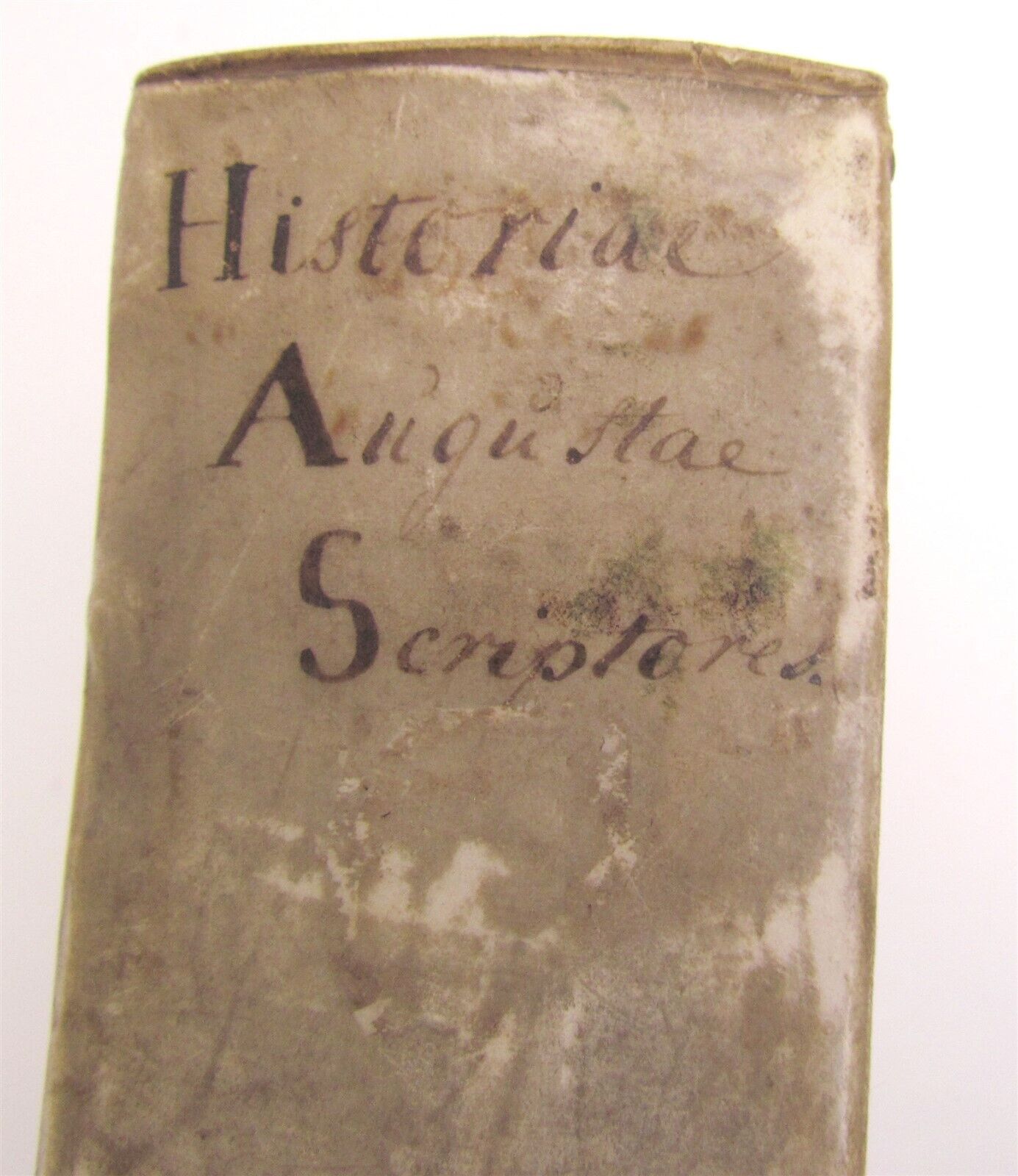 1661 Historiae Augustae Scriptores ed. C. Schrevelius antique VELLUM BOUND