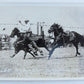 RPPC VINTAGE PHOTO POSTCARD RODEO LEE ROBINSON BULLDOGGING horses