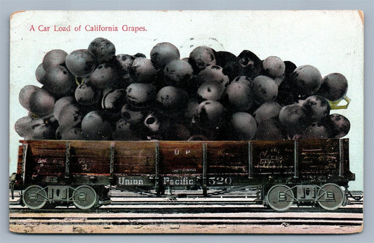 EXAGGERATED CAR LOAD OF CALIFORNIA GRAPES 1909 ANTIQUE POSTCARD