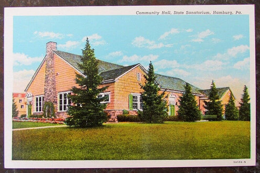 VINTAGE POSTCARD COMMUNITY HALL STATE SANATORIUM HAMBURG PA