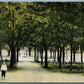 EGG HARBOR NY LINCOLN PARK ANTIQUE POSTCARD