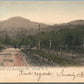 LIBERTY NY WALNUT & BALDHEAD MTS. ANTIQUE POSTCARD