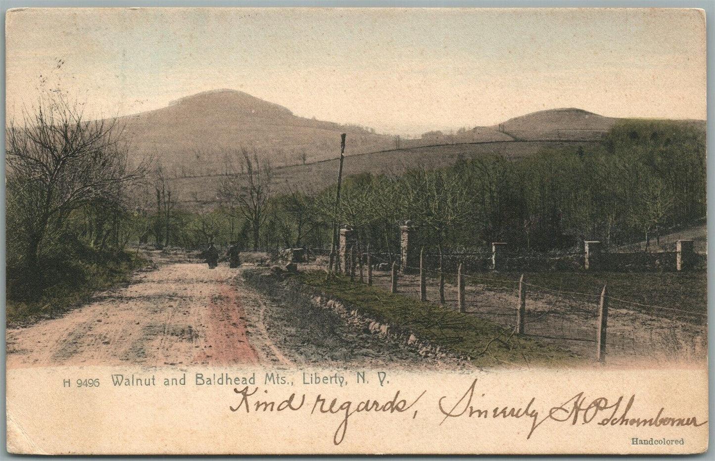 LIBERTY NY WALNUT & BALDHEAD MTS. ANTIQUE POSTCARD