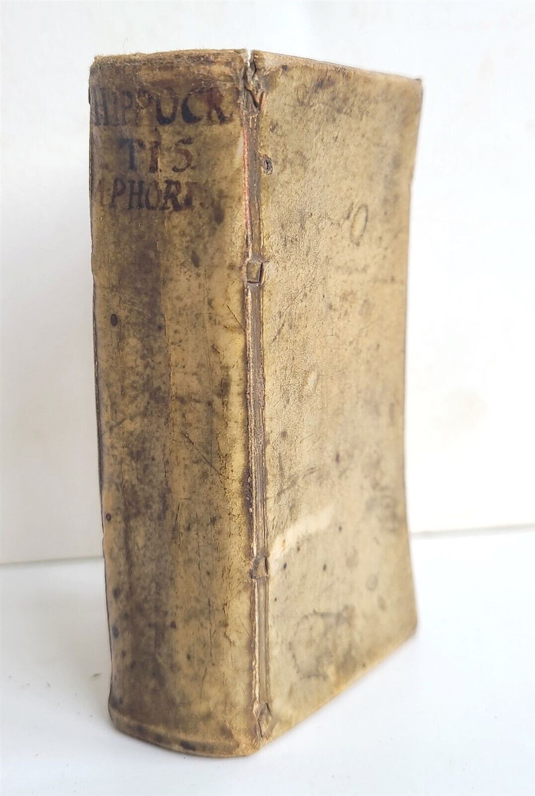 1675 HIPPOCRATES APHORISMS antique VELLUM BOUND