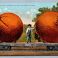 ORANGES FROM CALIFORNIA EXAGGERATED ANTIQUE POSTCARD