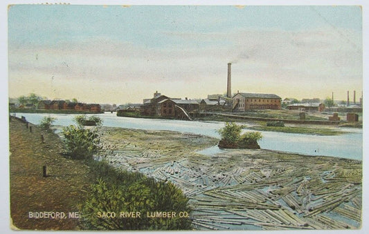 ANTIQUE 1908 POSTCARD SACO RIVER LUMBER COMPANY BIDDEFORD ME