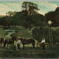 VERNFIELD PA NYCE POST CARD CO. ADVERTISING ANTIQUE POSTCARD