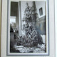 CHRISTMAS TREE in INTERIOR VINTAGE PHOTO 5 by 7"