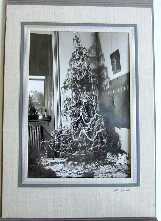 CHRISTMAS TREE in INTERIOR VINTAGE PHOTO 5 by 7"