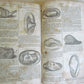 1829 MACKENZIE'S FIVE THOUSAND RECEIPTS USEFUL & DOMESTIC ARTS antique AMERICANA