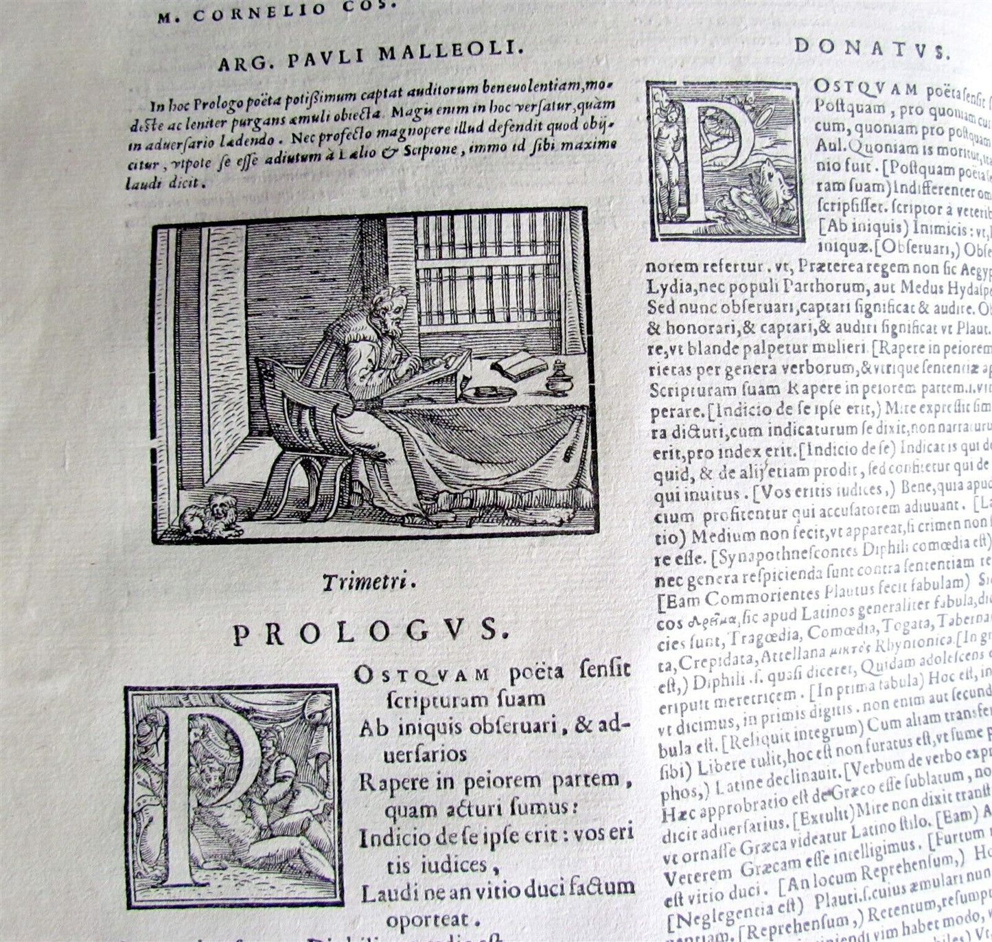 1567 COMOEDIAE SEX by TERENCE ILLUSTRATED VELLUM BINDING ANTIQUE 16th CENTURY