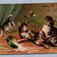 PLAYING CATS 1908 ANTIQUE POSTCARD