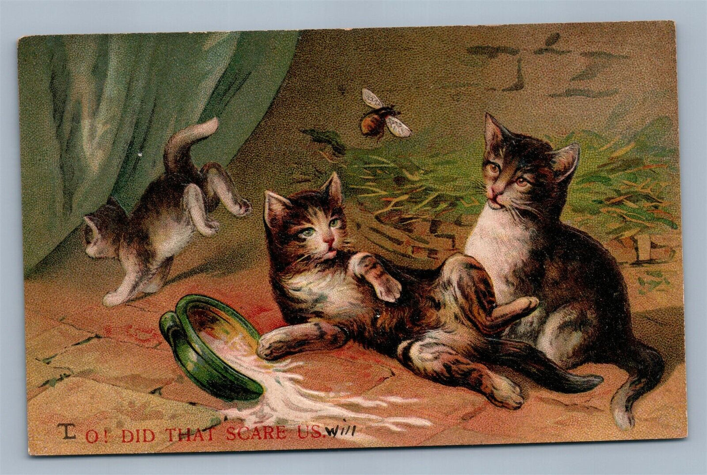 PLAYING CATS 1908 ANTIQUE POSTCARD