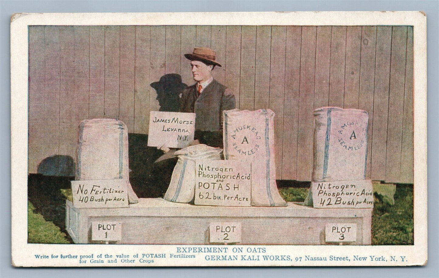 NEW YORK NY GERMAN KALI WORKS ANTIQUE POSTCARD