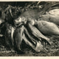 FISHERMAN'S CATCH PINE CITY MN LAKE POKEGAMA ANTIQUE REAL PHOTO POSTCARD RPPC