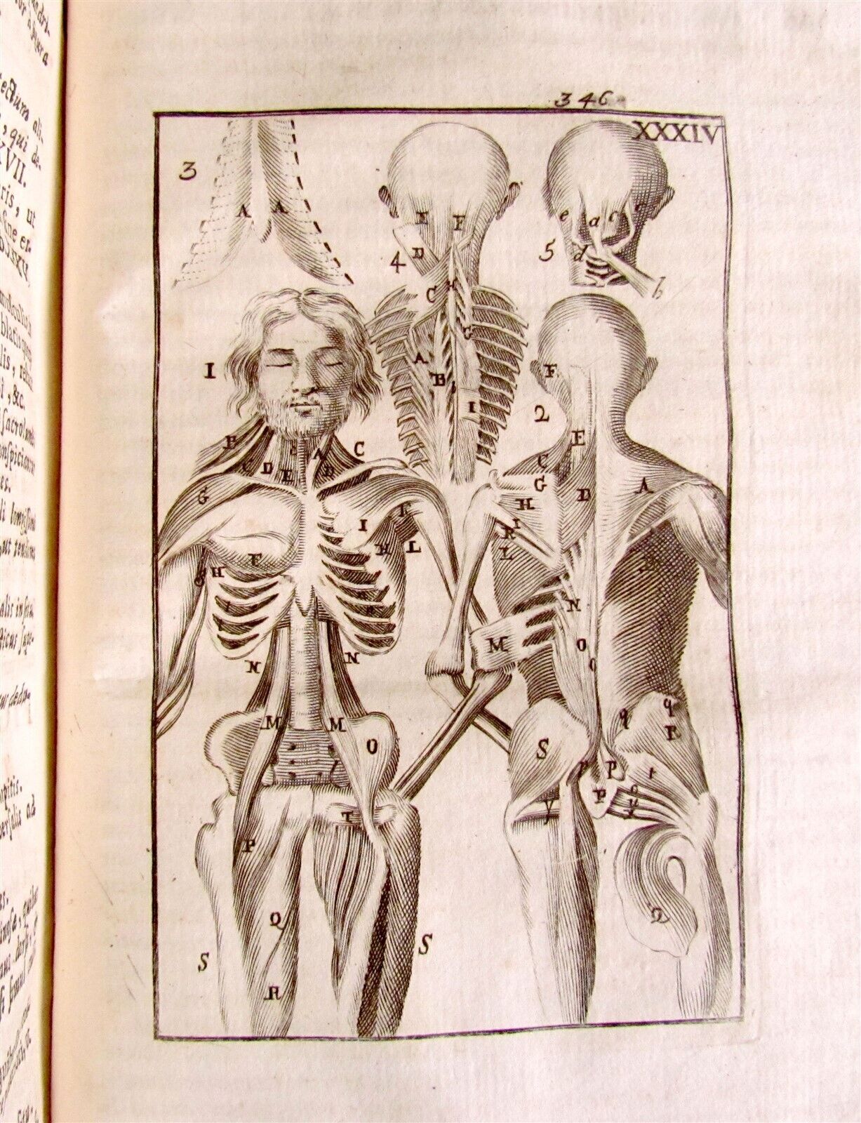 1717 2 VOLUMES ANATOMY ILLUSTRATED CORPORIS HUMANI ANATOMIAE antique in LATIN