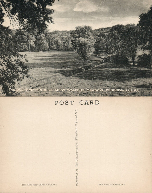 PHOENIXVILLE PA OLD SWIMMIN HOLE SHOW WALTERS MEADOW VINTAGE POSTCARD