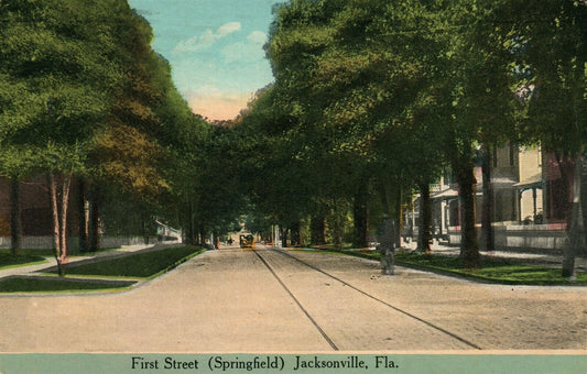 JACKSONVILLE FL FIRST STREET SPRINGFIELD 1913 ANTIQUE POSTCARD