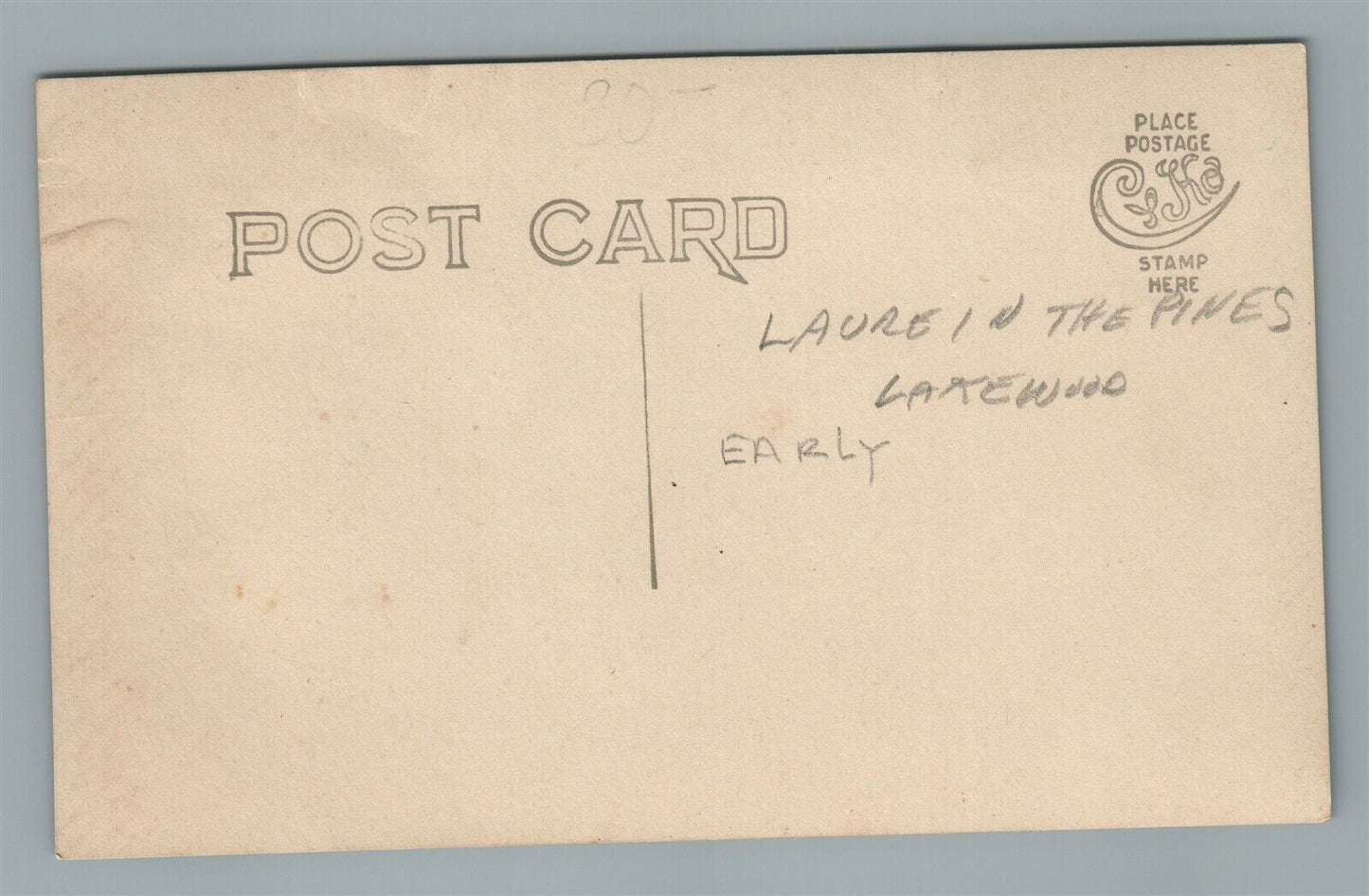 LAKEWOOD NJ LAUREL in the PINES ANTIQUE REAL PHOTO POSTCARD RPPC