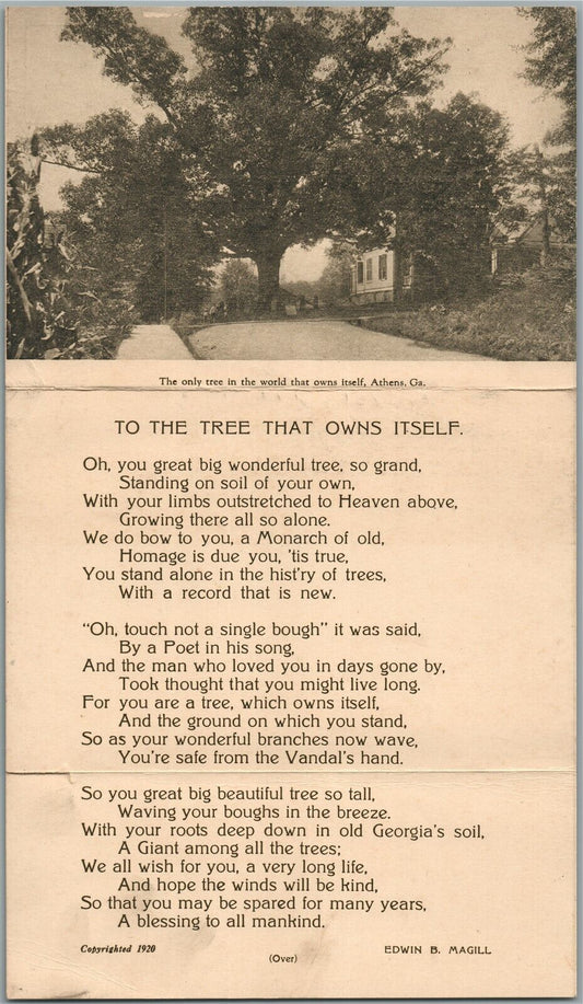 ATHENS GA ONLY TREE IN THE WORLD THAT OWNS ITSELF FOLDING ANTIQUE POSTCARD