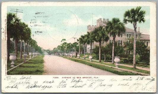 SEA BREEZE FL AVENUE ANTIQUE POSTCARD