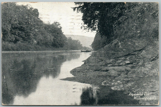WILLIAMSPORT PA LOYALSOCK CREEK 1910 ANTIQUE POSTCARD