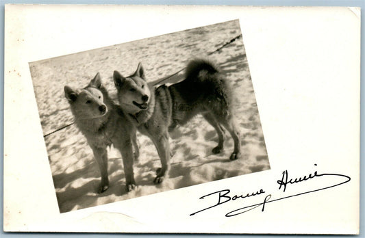 HUSKY DOGS ANTIQUE REAL PHOTO POSTCARD RPPC