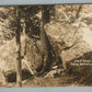 LAKE HOPATCONG NJ SPLIT ROCK ANTIQUE REAL PHOTO POSTCARD RPPC