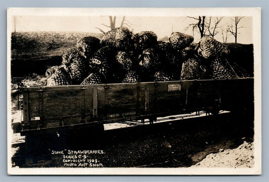 EXAGGERATED STRAWBERRIES 1909 ANTIQUE REAL PHOTO POSTCARD RPPC montage railroad