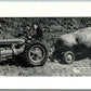 CHARLESTOWN R.I. EXAGGERATED POTATO VINTAGE POSTCARD tractor