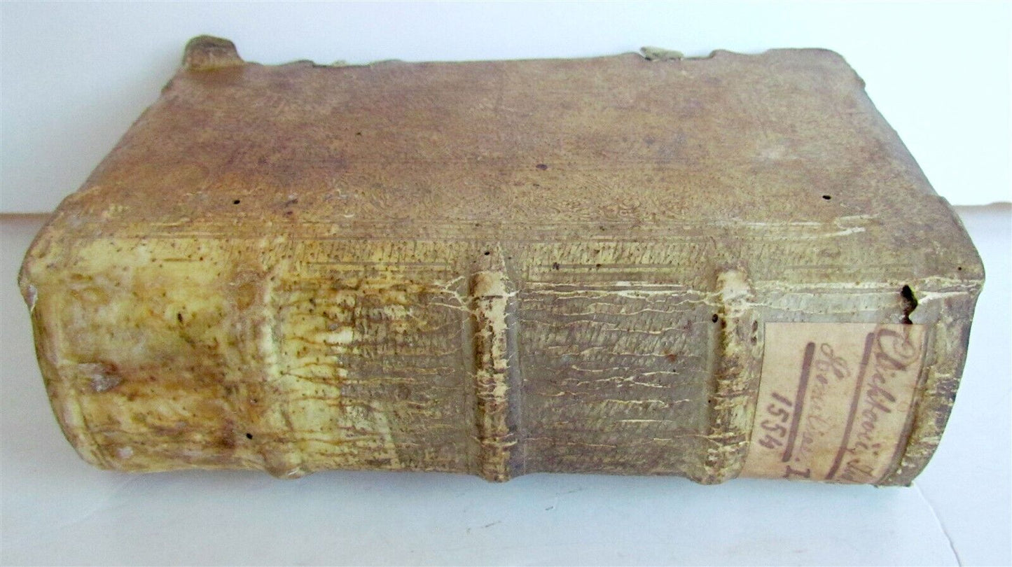 1554 Homiliarum tripartitarum by Josse Clichtoveus antique PIGSKIN BOUND vol. I