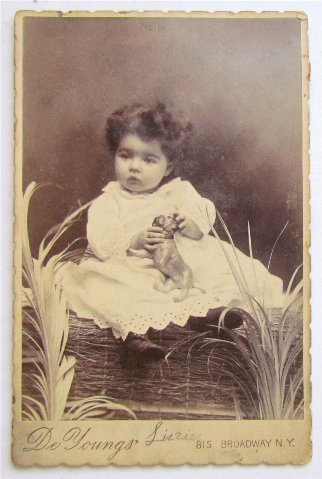 GIRL w/ TOY DOG ANTIQUE CABINET PHOTO