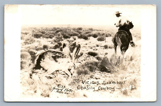 EXAGGERATED JACKRABBIT CHASING COWBOY ANTIQUE REAL PHOTO POSTCARD RPPC