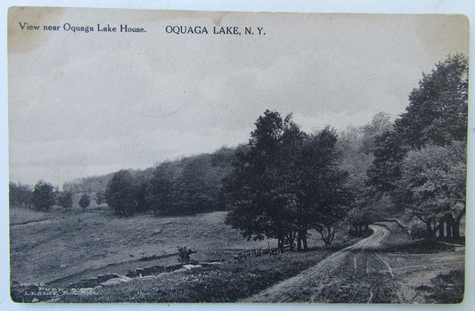 VINTAGE POSTCARD VIEW NEAR OQUAGA LAKE HOME OQUAGA LAKE NY NEW YORK
