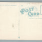 WILDWOOD NJ ARCADIA HOTEL ANTIQUE POSTCARD