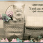 CAT w/ FLOWERS IN BASKET GREETINGS ANTIQUE REAL PHOTO POSTCARD RPPC