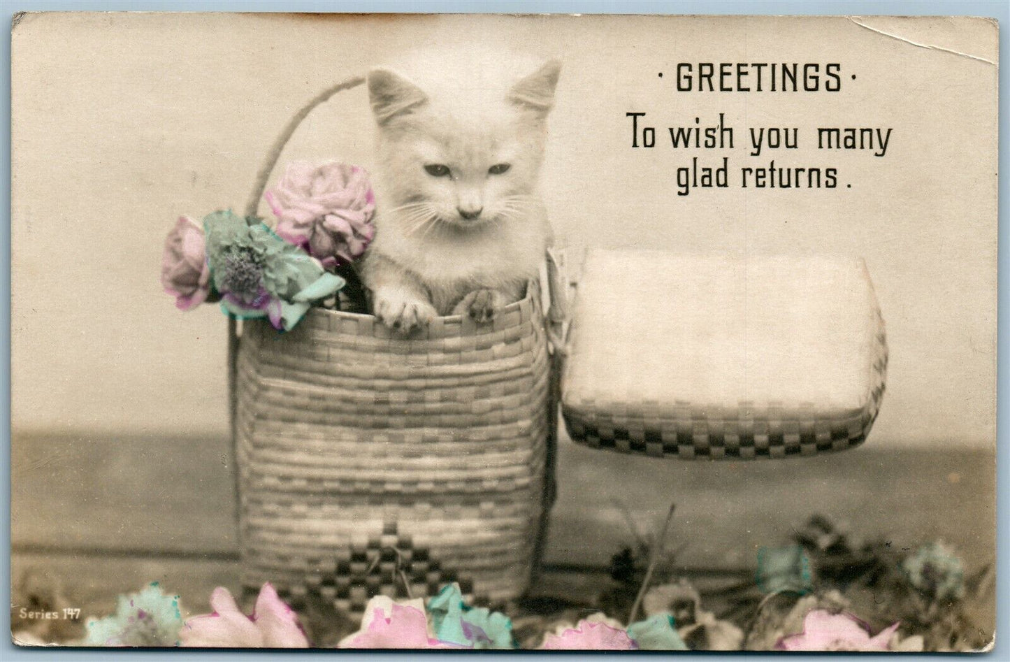 CAT w/ FLOWERS IN BASKET GREETINGS ANTIQUE REAL PHOTO POSTCARD RPPC